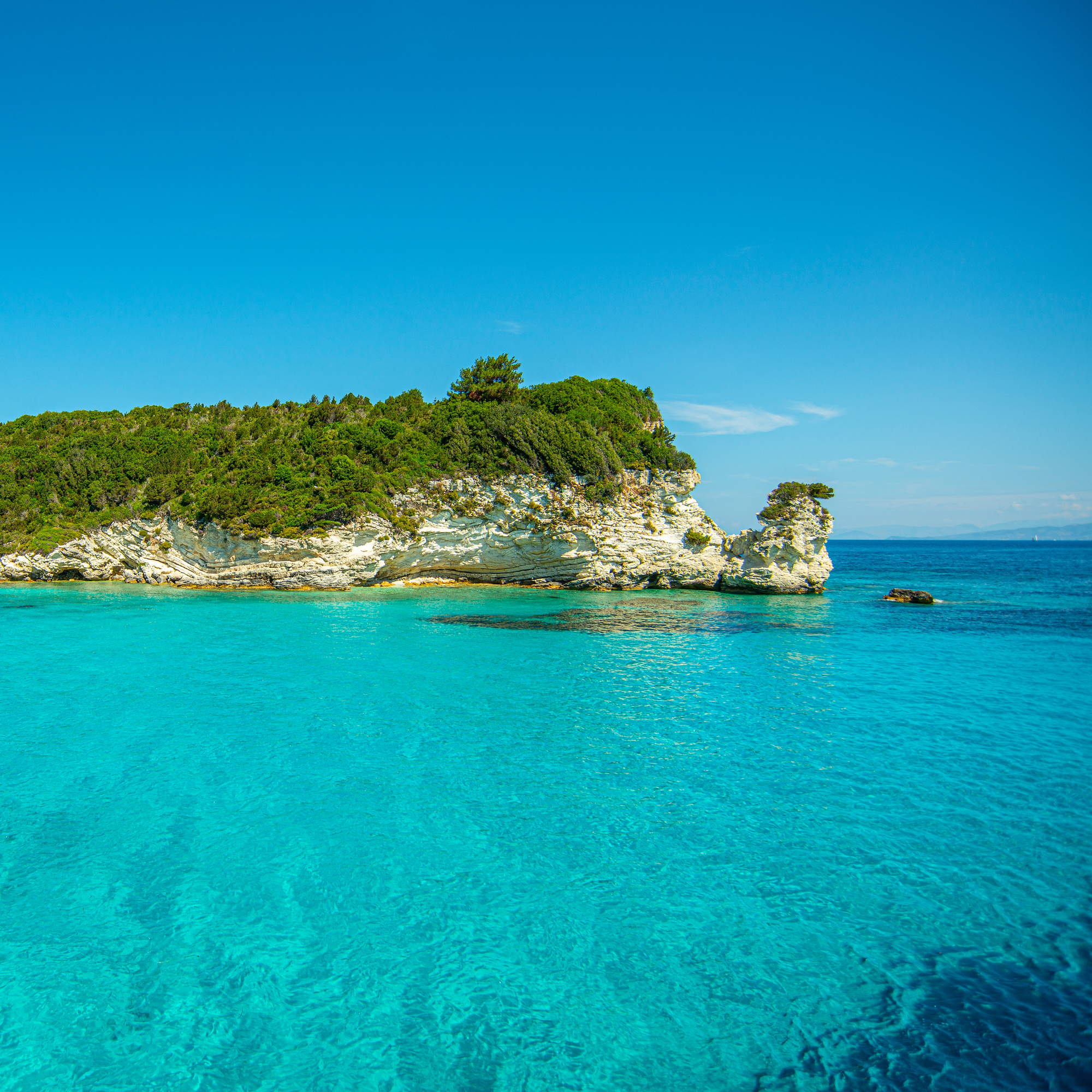 Discover Paxos & Antipaxos with us.